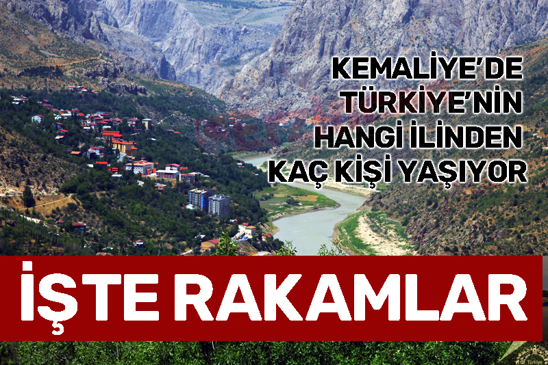 Kemaliye'de Türkiye'nin hangi ilinden kaç kişi yaşıyor?