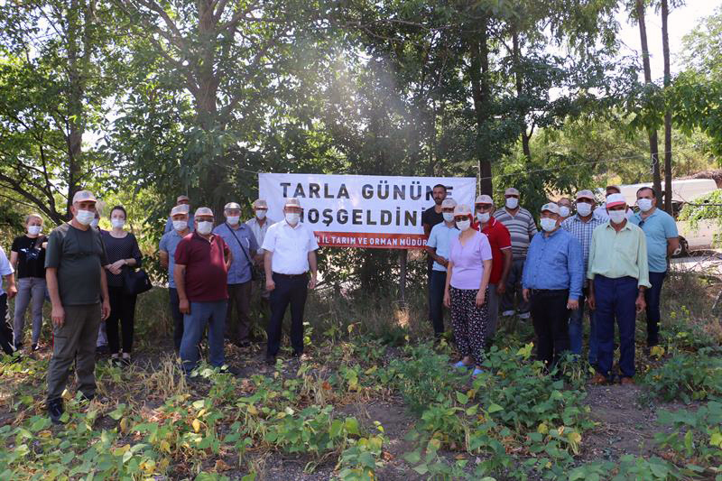 Erzincan'da kuru fasulye üretimi artıyor