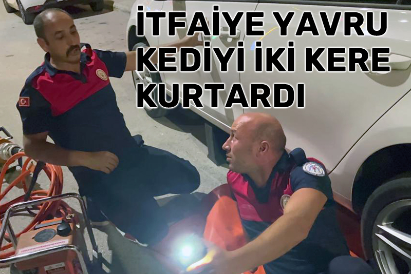İtfaiye yavru kediyi iki kere kurtardı