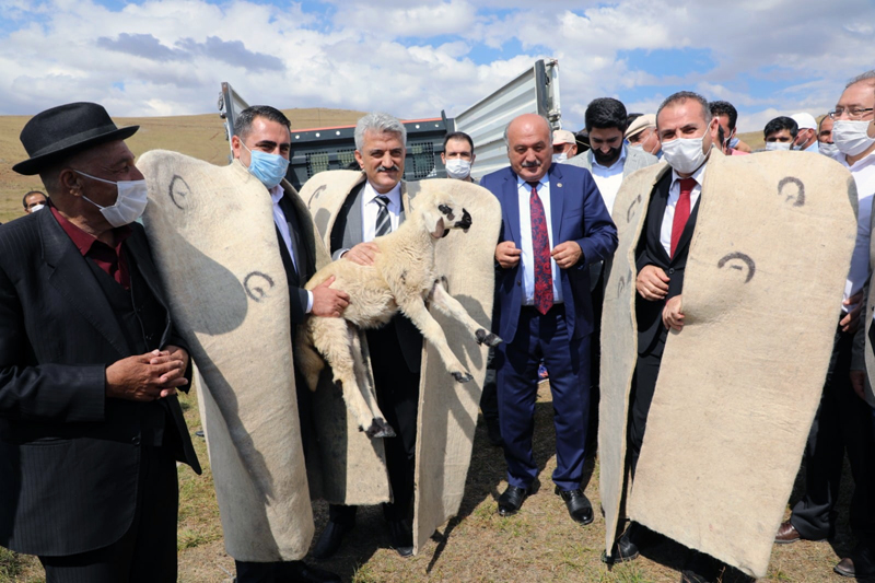 Erzincan'da koç katım şenliği düzenlendi